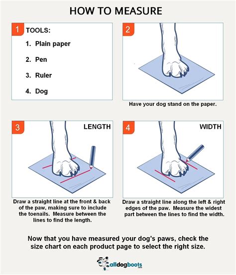 How To Measure Dog Paws For Booties: Get the Perfect Fit