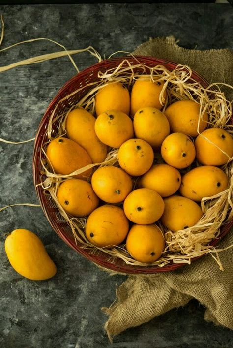 Alphonso Mango Magic: A Taste Tour of India's Treasured Fruit – Mangoes ...