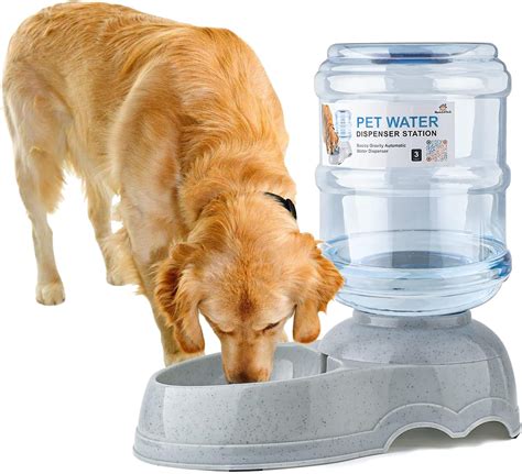 Dog Water Dispenser Diy at James Marts blog