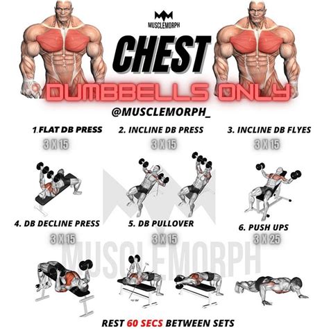 Dumbbell chest workout – Artofit