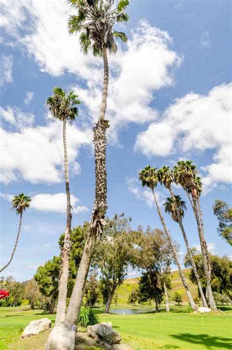 Gallery - Oceanside Municipal Golf Course