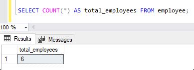 Aggregate Functions in SQL Server 的图像结果