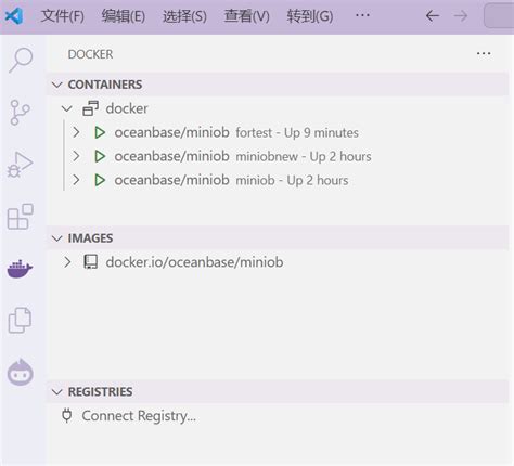 Docker Tutorial VSCode 的图像结果