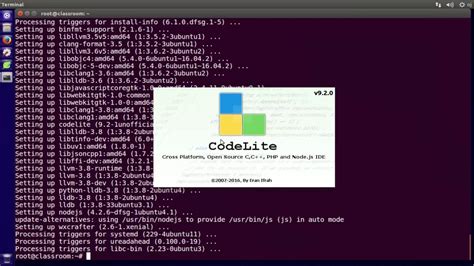 Image result for Run Dung Terminal CodeLite