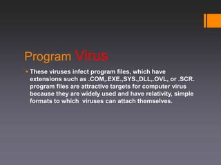 Image result for About Program File Virus