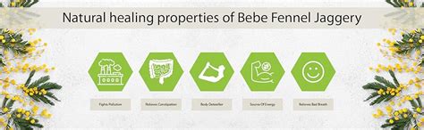 BEBE Premium Fennel Jaggery/Gur - 400 gms (Pack of 2) | Jaggery ...