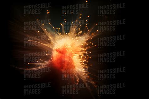 Image result for Exploding Star 2022