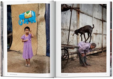 Steve Mccurry. Animals – CMYK Bookstore
