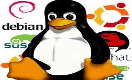 Services: AD Software Solutions, GST Ready ERP Software, Stock Module ...