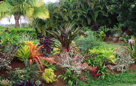 Best Plants For A Tropical Garden at Adolfo Scanlan blog