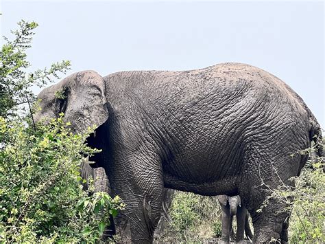 EARTH EXPLORERS INC (2025) All You Need to Know BEFORE You Go (with ...