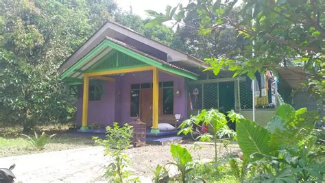 Image result for Python Sub Indo
