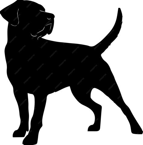 Black Lab Silhouette