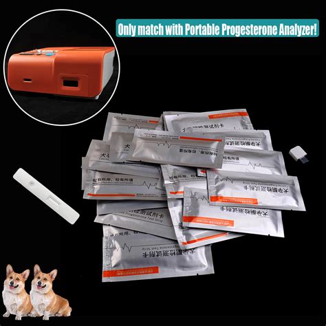 At What Progesterone Level Does A Dog Ovulate