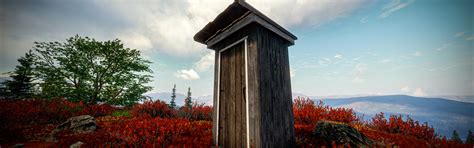 Download wallpaper the game, Nature, toilet, theHunter Call of the Wild ...