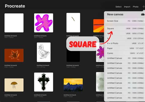 How to Use Procreate App 的图像结果