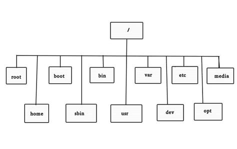 Image result for Linux Dev File System