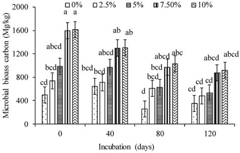 Effects of Maize Residue Biochar Amendments on Soil Properties and Soil ...