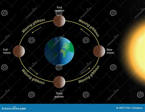 Lunar phase stock vector. Illustration of nature, full - 40977736 - Moon Phases around Earth