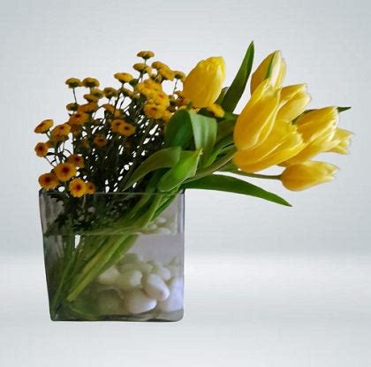 Happy Tulip Bulbs – florista-in