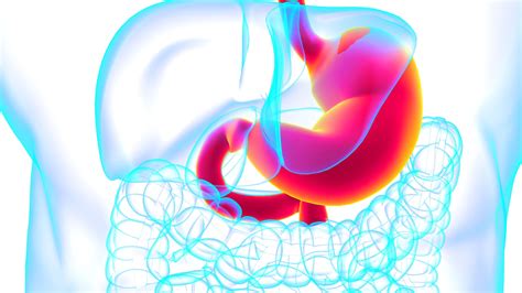 Exocrine Pancreatic Insufficiency and Digestive Problems