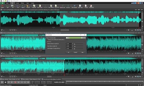 Image result for WavePad Audio Editor Tutorial