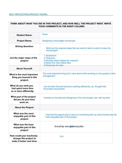 Image result for Project Reflection Sample