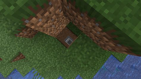 Image result for Ravine Seeds Java