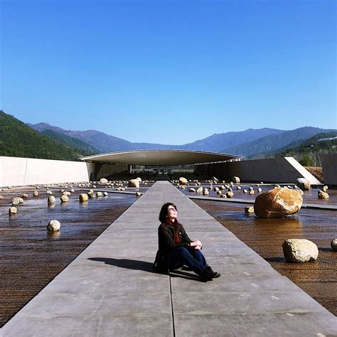 Viña Vik Winery (San Vicente de Tagua Tagua) - 2022 What to Know Before ...