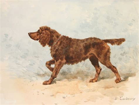 List of Extinct Dog Breeds That You've Probably Never Known About ...