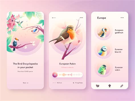 picture bird app review