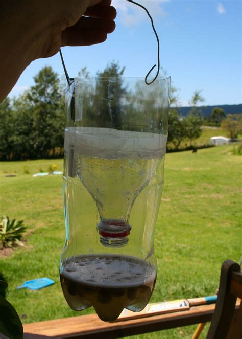 How to Make a Homemade Fly Trap with Plastic Bottle | Homemade fly ...