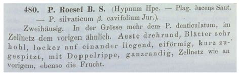 Diversity | Special Issue : Diversity, Systematics and Evolution of ...