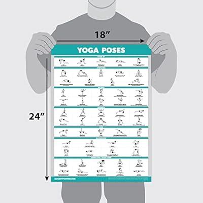 Buy QuickFit Yoga Poses and Stretching Exercise Poster Set - Laminated ...