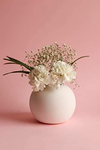 Buy Craftribal Ceramic Handle Pot/Vase | Ceramic Flower Vase |Aesthetic ...