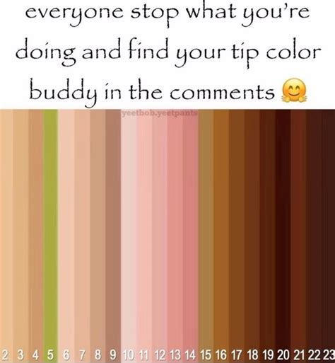 Image result for Tip Color Meme