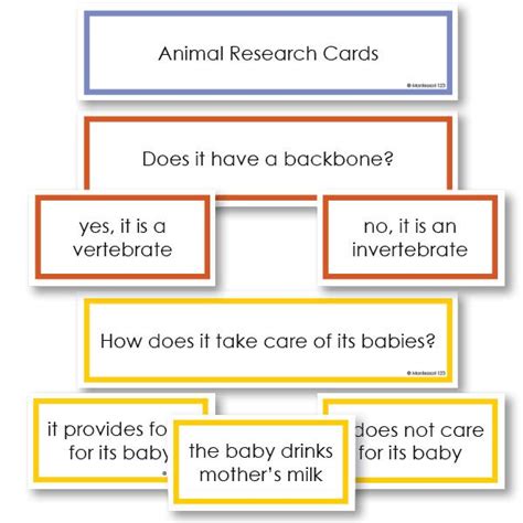 Image result for Classification Key Questions Animals