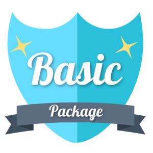 SEO Basic Package Logo 的图像结果