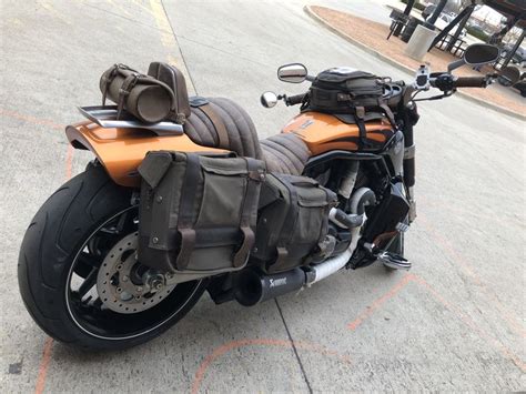 Image result for V-Rod Muscle Review