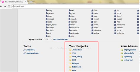 Localhost Project 的图像结果