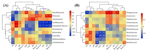 Combination of Biochar and Trichoderma harzianum Can Improve the ...