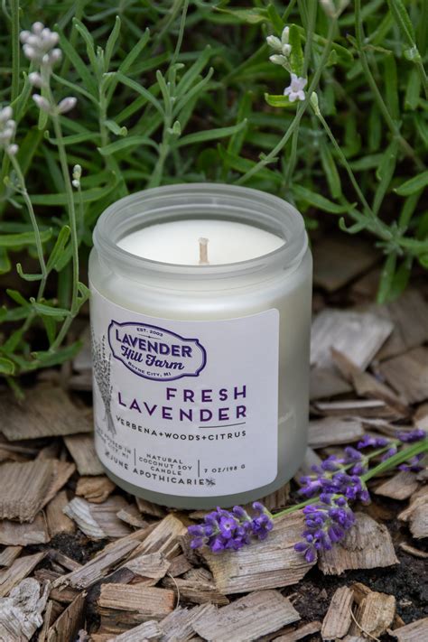 Fresh Lavender Soy Candles - Lavender Hill Farm