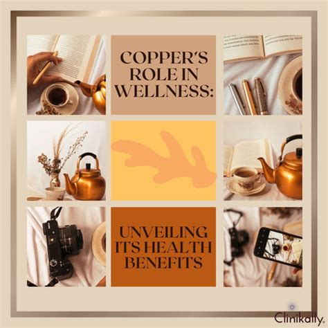Boost Your Health: 20 Best Foods High in Copper | Clinikally