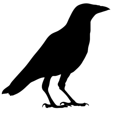 Crow Clip Art - ClipArt Best