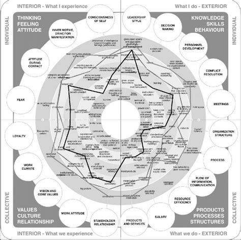 Organization Phase Chart 的图像结果