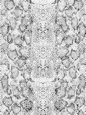 Image result for Wall Texture Python Programming