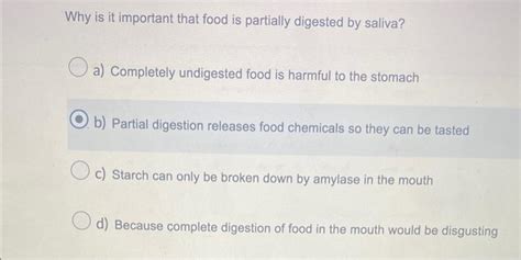 Image result for Partially Digested Food