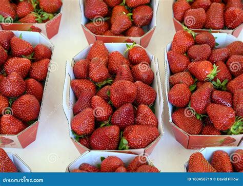 Small Boxes of Fresh Strawberries on Sale in the Cours Saleya Market in ...