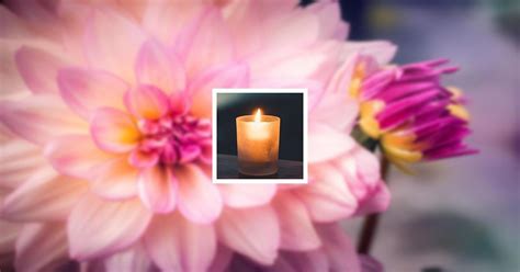 Obituary | Pamela Lynn Jones of Austin, Minnesota | Clasen-Jordan Mortuary