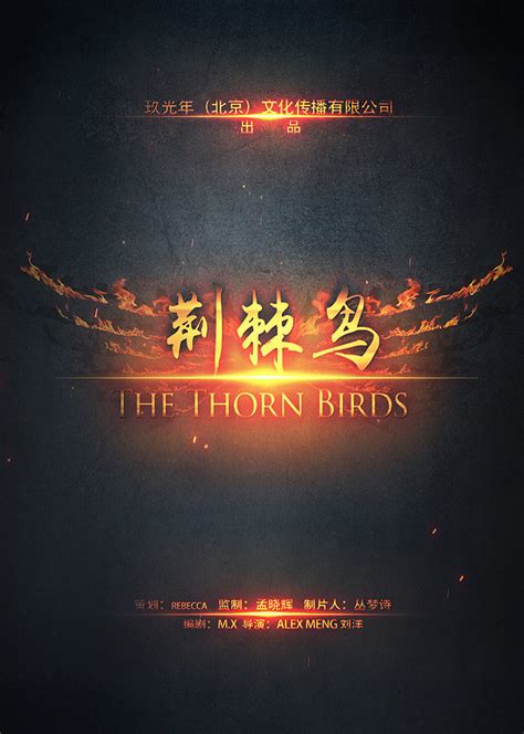 荆棘鸟(The Thorn Birds)-电影-腾讯视频